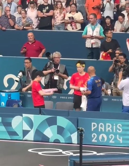 莎头组合 球拍被恶意踩坏,针对还是无意,游泳队持续0金