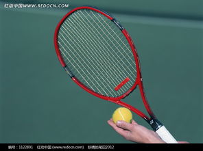 举着网球和球拍准备发球的手图片免费下载 编号1122891 红动网