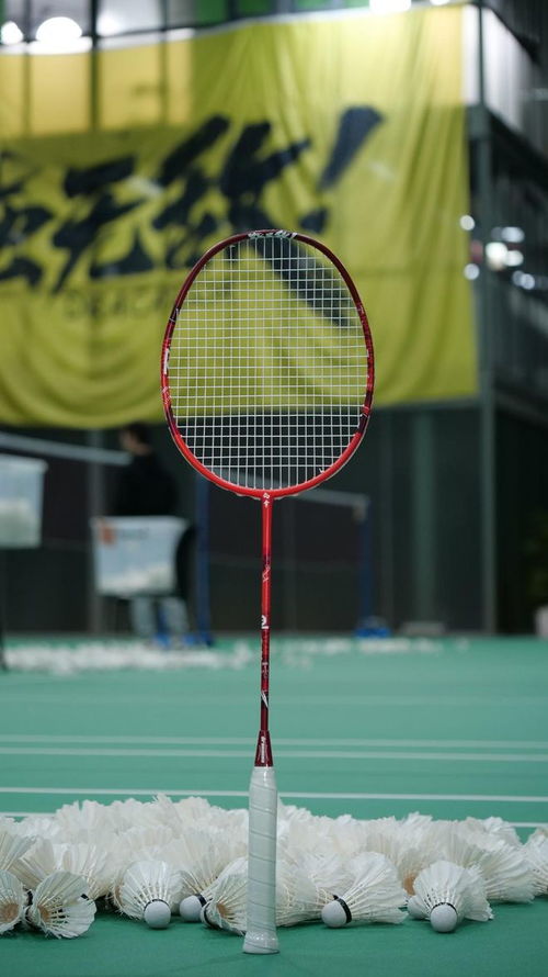 深度测评 2024均衡之刃元旦限定款球拍