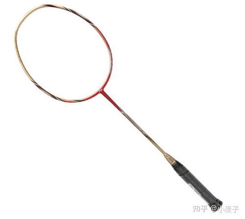 羽毛球拍怎么选 新手 入门羽毛球拍该怎么选购 2021年羽毛球拍推荐 选购指南