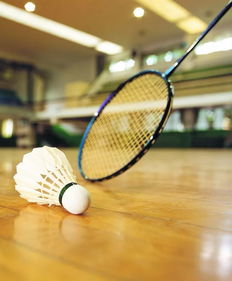 如何选购适合自己的羽毛球拍 10招教你轻松搞定