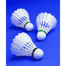 天天动 一站式羽毛球场地预订与培训服务