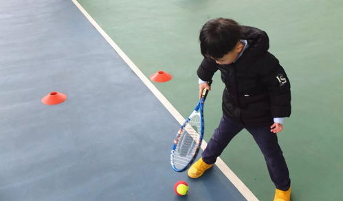 下一个李娜，也许就在今天的活动中诞生