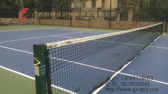 球拍的演变与分类