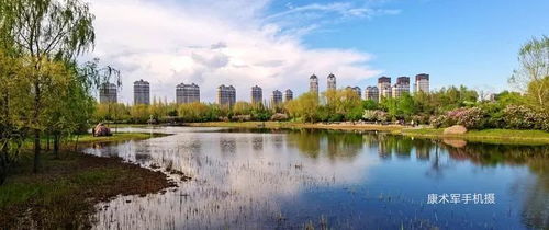 丁香园里的多彩风光——康术军手机随拍作品选