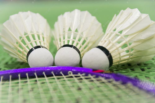 羽毛球场高清摄影大图赏析 千库网精彩球拍瞬间