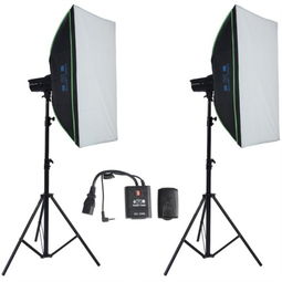 金鹰L4 400W双灯套装 照亮专业静物与人像摄影的得力助手