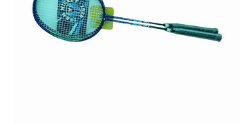 迪士尼逸空双拍SD21009 M蓝色 太极养生医馆羽毛球拍全面解析