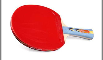 红双喜DHS A3002 一款均衡实用的入门级横拍双反胶乒乓球拍